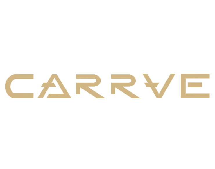 CARRVE-CUSTOM-VANS
